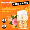 PureRootss Dry Shampoo Powder and Refill X2, Unscented, Non Aerosol, For Dark and Blonde Hair, Hair Volumizing, Mattifying Root, Travel Hair Styling Powder & Fuller Looking Refreshing