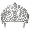 Lush Clear Austrian Crystal Rhinestone Tiara Crown Bridal Prom Pageant T11884 (Silver)