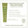 Naturtint Permanent Hair Color 3N Dark Chestnut Brown, 5.75 ounce - 3 Pack
