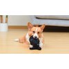 Star Wars for Pets The Shadow Stormtrooper 9” Plush Dog Toy with Squeaker | The Shadow Stormtrooper Toy for Dogs | Dog Toys, Squeaky Dog Toys, Dog Chew Toys, Storm Trooper Plush (FF19172)
