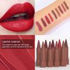 CAKAILA Nude Lipstick Lip Liner Matte Sets,Light to Dark High Pigmented Velvet Lipstick Lipliner for Daily Makeup,for Women Long Lasting Waterproof 24 Hours Lip Stick Lip Stain Makeup Gift Sets