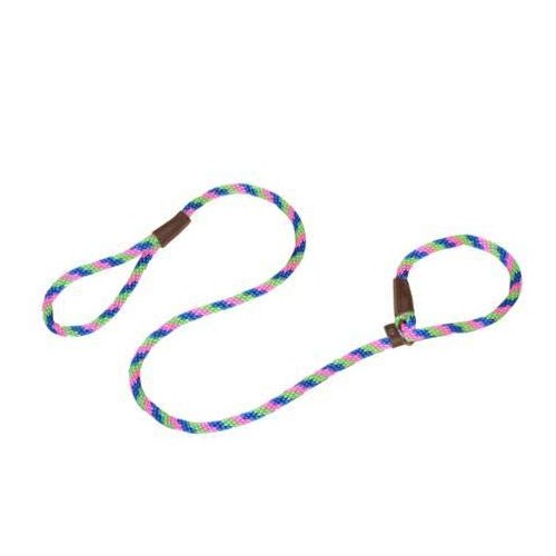 Warner Braided Nylon Rope British Slip Lead Dog Leash 1/2" X 6 Ft. (Blue-Pink-Lime)