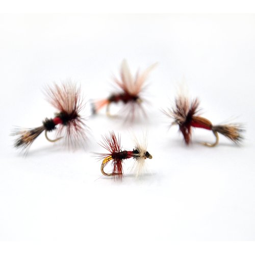 Outdoor Planet Dry Fly 12 Royal Coachman/Wulff/Humpy/Renegade Fly Lure Assotment for Trout Fly Fishing Flies