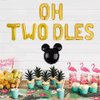 Geloar Oh Twodles Balloons Banner, Oh Twodles 2nd Birthday Party Decorations for Themed of Minnie Micky Mouse for Girl Boy Oh Twodles Birthday Party Supplies Decorations Set Of 12PCS Kit (Gold)