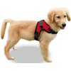 Copatchy Dog Harness Small Sized Dog - All Weather Mesh overhead adjustable no pull Vest Puppy reflective Harness with handle for Small and Medium Dogs by Copatchy - Harness (Red) Small