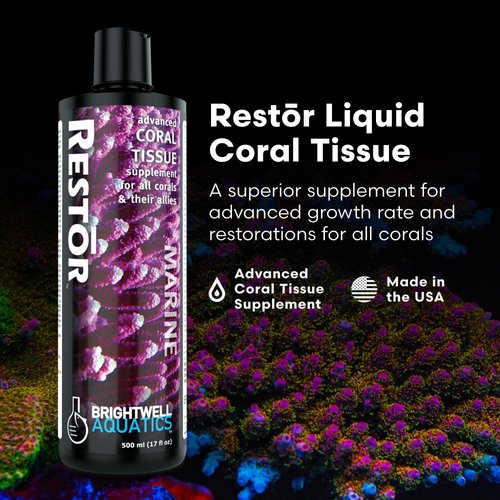 Brightwell Aquatics - Restor Liquid Coral Tissue Supplement - Fish Tank Reef Nutrition for Live Coral Growth Acceleration, Colour Vibrancy, & Restoration Additive - Saltwater Reef Supplies, 8.45 fl oz