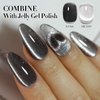 Double Rhythm 0.5 OZ Cat Eye Gel Polish with Magnet 15ML Holographic Glitter Shimmer Translucent Jelly Color Magnetic Nail Polish Salon DIY at Home (MC1019)
