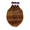 UNice Hair Brown Blonde Straight Human Hair Weave 3 Bundles, Brazilian 100% Virgin Unprocessed Remy Hair Ombre Highlight Color Hair Extensions 100g/pc (10 12 14)