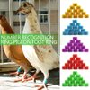 Juroicessry 100Pcs Purple Number (001-100) Inner Diameter 8mm Pigeon Leg Poultry Dove Bird Band Rings Foot Pigeon Supplies Parrot Clip Bird Toys