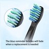 Replacement Toothbrush Heads for Fairywill, Electric Brush Heads Replacement for FW-507/508/515/551/917/959/D1/D3/D7/D8/2011, 10 Pack, Black…
