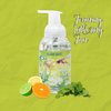 Primal Elements Nourishing Foaming Hand Soap, Gentle Hand Wash for Softer and Cleaner Hands, Washes Away Dirt – 9.5 FL OZ (Island Oasis, 1-Pack)