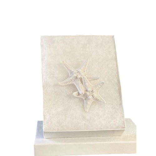 Starfish Hair Clip Barrette - Free Shipping
