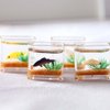 Multicolour Dollhouse Fish Tank, Dolls and Accessories Miniature Fish Bowl Dollhouse Accessories 1: 12 Miniature Glass Goldfish Tank Dollhouse Desktop Ornaments(Round)
