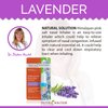 LAVENDER NETI INHALER Sinus & Lung Relief. HIMALAYAN SALT AIR! Respiratory Wellness. Clearing, Healing Ions Aromatherapy. Handy Portable