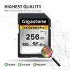 Gigastone 256GB SDXC Memory Card 4K Pro Series Transfer Speed Up to 100MB/s Compatible with Canon Nikon Sony Camcorder, A1 V30 UHS-I Class 10 for 4K UHD Video
