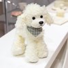 Ruzucoda Plush Poodle Dog Puppy Stuffed Animals Toys Dolls Kids Gifts 9 Inches (White)