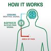 Biofreeze Professional Pain Relief Roll On for Knee, Neck, Hip, Joint, & Shoulder, Simple Backache Pain Reliever, Sore Muscle Relief, Roll-On Menthol Gel 3 Fl Oz (Pack of 2)