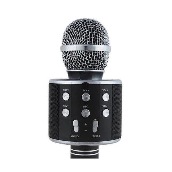 Magic Wireless Karaoke Microphone Toy for Kids, Best Gift (Black with Silver)