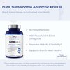 1MD Nutrition KrillMD - Antarctic Krill Oil Omega 3 Supplement with Astaxanthin, EPA, DHA | 2X More Effective Than Fish Oil | 60 Softgels (2-Pack)