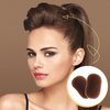 AEGYPIUS 2Pcs Charming Bump It Up Volume Inserts Hair Comb, Nylon Material, Hair Pads for Beehive Hair Style, Styling Clip Accessories for Women Lady Girl (Brown)