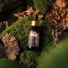 Fantastic Fungi Immunity Elixir | Organic Turkey Tail, Chaga and Maitake Mushrooms | Supports Overall Health*