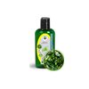 2oz (60ml) Avocado Oil (Persea Americana) for Skin, Virgin - Support Collagen Elastin in Mature, Aging, Dry Skin