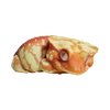 IFiDEA Animal Heavenly Body Gecko Rhacodactylus Ciliatus - Crested Gecko (Red Cream) Chubby Collectible Figurine Statue Handcrafted Amphibian