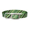 Dublin Dog Koa Collection Oxford 12.5 by 17-Inch Dog Collar, Medium, Apple Orchard