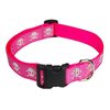 Small Pink Reflective Skull Dog Collar: 5/8" wide, Adjusts 10-14" - Made in USA.