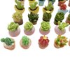 SIX VANKA Miniature Potted Plants Resin Decoration 30pcs Random Set for Doll House Pretend Play Toys DIY Mini Home Garden Flowerpot Succulent Planter
