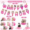 Cat Birthday Party Hanging Swirls - NOVBAUB 20PCS Lovely Pink Cat Birthday Party Supplies Honeycomb Centerpieces Cute Cat Theme Birthday Party Decorations for Cats Kids Teens Adults