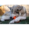 Jersey Dog Co. The Treat Bone Dog Chew Toy, Safe Dog Chew Toys, Made in USA Rubber-Free Dog Toy 7” Long, Orange
