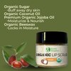 Organic Coconut Lip Scrub – 0.7oz – USDA Organic, Fair Trade, Sugar, Jojoba Oil, Beeswax, Coconut Oil, Calendula Extract