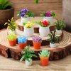 IMIKEYA Miniature Dollhouse Plant Flowers: 12pcs Mini Dollhouse Potted Plants Artificial Tiny Plants Fake Greenery Ornament Potted Plant Flower Model Micro Landscape Dollhouse Furniture Decor