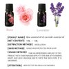 2 Pack Lavender Rose Essential Oil Set Pure Organic Lavender Aromatherapy Oil Rose Fragance Oil for Diffuser, Massage, Aromatherapy, Bath, Skin Care, Soap/Candles Making