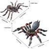 SCAHOW Realistic Fake Spiders, 2pcs Plastic Spider Toys Figures with Giant Whiteknee Tarantula, Educational Insect Animal Figures for Kids Toddlers, Halloween Decoration Prank Props