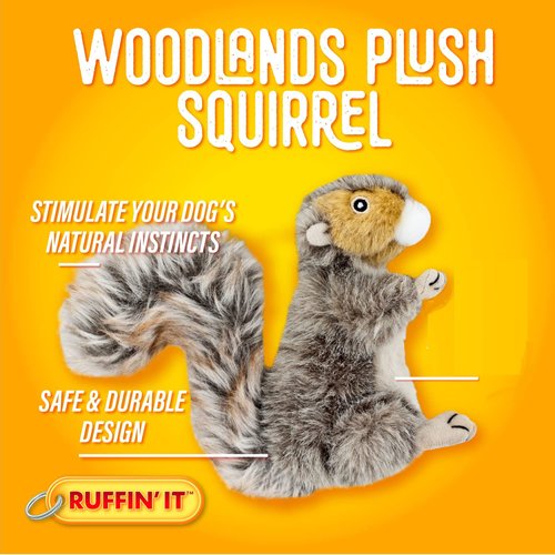 RUFFIN' IT Reaowazo Woodlands Plush Squirrel Dog Toy, Small