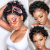 Czrleaty Pixie Cut Wig Human Hair Short Curly Lace Front Wigs Human Hair 13X1 Pixie Wigs for Black Women Natural Black