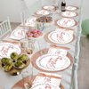 Wiooffen 96PCS Rose Gold Birthday Paper Plates and Napkins Party Supplies Happy Birthday Party Decorations Disposable Birthday Party Tableware Dinnerware Set for Women Girls Birthday Serves 24 Guests