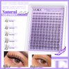 ALICE Cluster Eyelash Extension Kit Natural Wispy Lash Clusters Kit Lash Extension Kit Clear Band 168pcs C Curl 11-13mm Individual Lashes with Lash Glue Bond and Seal Self Application at Home