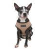 Puppia Soft Dog Harness No Choke Over-The-Head Triple Layered Breathable Mesh Adjustable Chest Belt and Quick-Release Buckle, Beige, Small