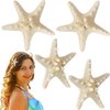 Syhood 4 Pcs Resin Starfish Hair Clip Mermaid Hair Accessories for Women Hairclip Mermaid Costume Jewelry