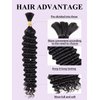 Human Braiding Hair Deep Wave Bulk Human Hair for Braiding 1 Bundle 50g 16 Inch No Weft 10A Brazilian Virgin Curly Human Hair Extensions for Boho Braids Wet and Wavy Human Hair Braiding Hair