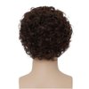 Salaibs Mens Short Curly Brown Wig California Cosplay Costume Daily Hair Wig Synthetic Heat Resistant Wigs for Male Guys