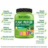 NATURELO Plant Protein Powder, Vanilla, 22g Protein - Non-GMO, Vegan, No Gluten, Dairy, or Soy - No Artificial Flavors, Synthetic Coloring, Preservatives, or Additives - 20 Servings