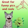 PAW:20 Bud Jr. The Weed Nug | Funny Cat Toy | Cool Plush Catnip Toy | Fun Novelty Gift | Play and Funny Photos