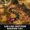 KAZI Centipede Toy Building Set for Kids,Forest Bugs Building Kit,STEM Insect Toys for Girls Boys Age 8-14,Play and Display Animal Model,Gift Idea