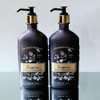 Bath and Body Works Inspire Violet Sandalwood Eucalyptus Body Lotion Set