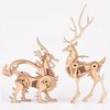 (5pcs) Animal Wood Puzzles Adult, 3D Wooden Puzzles Set, Exquisite DIY Model Craft kit, Artwork Set Waiting to be Painted