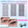 Lash Clusters Natural Eyelash Clusters D Curl Cluster Lashes zanlufly Wispy Individual Lashes Cluster Eyelash Extension 10 12 14MM DIY Lash Extension